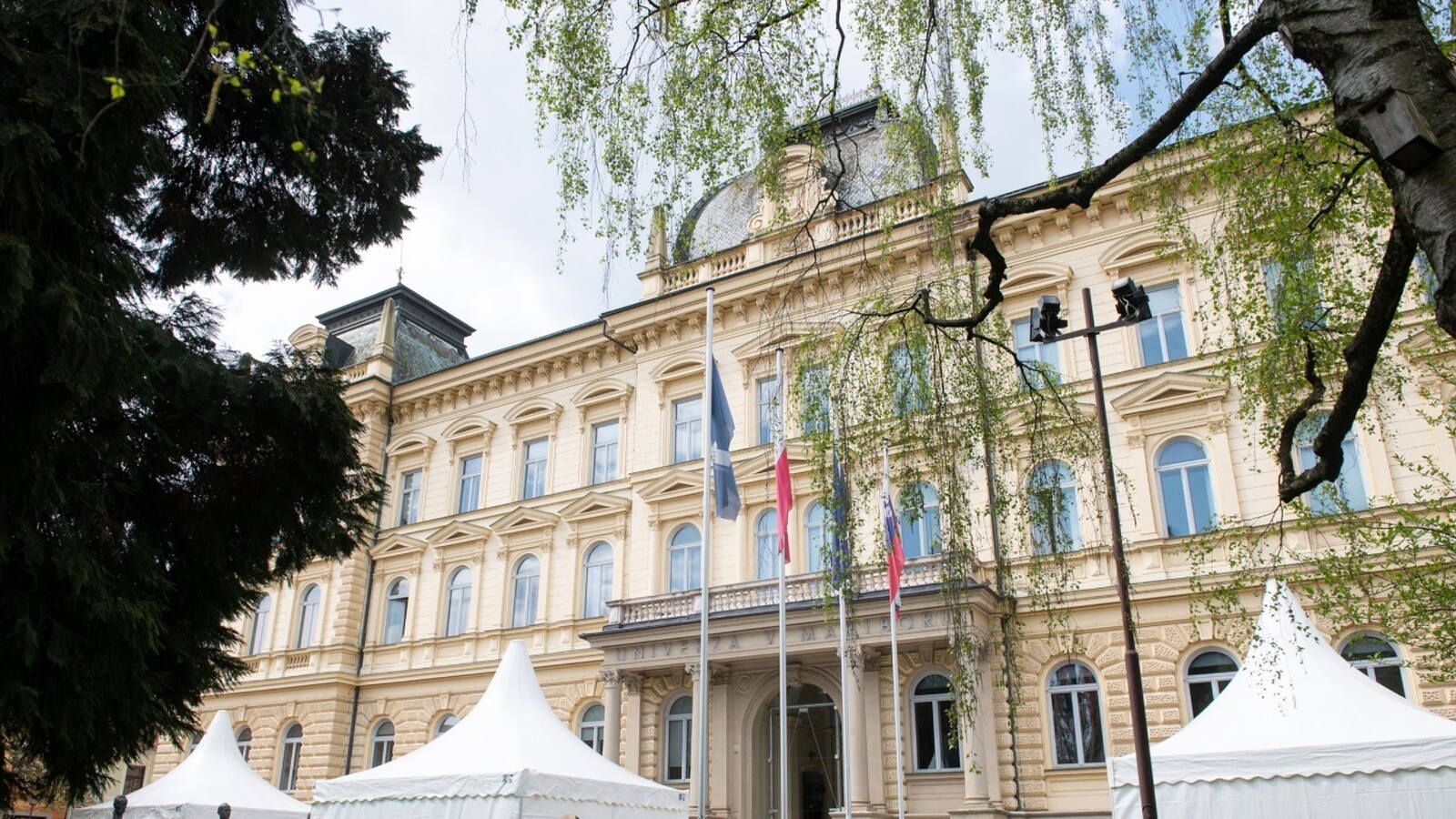 Univerza v Mariboru
